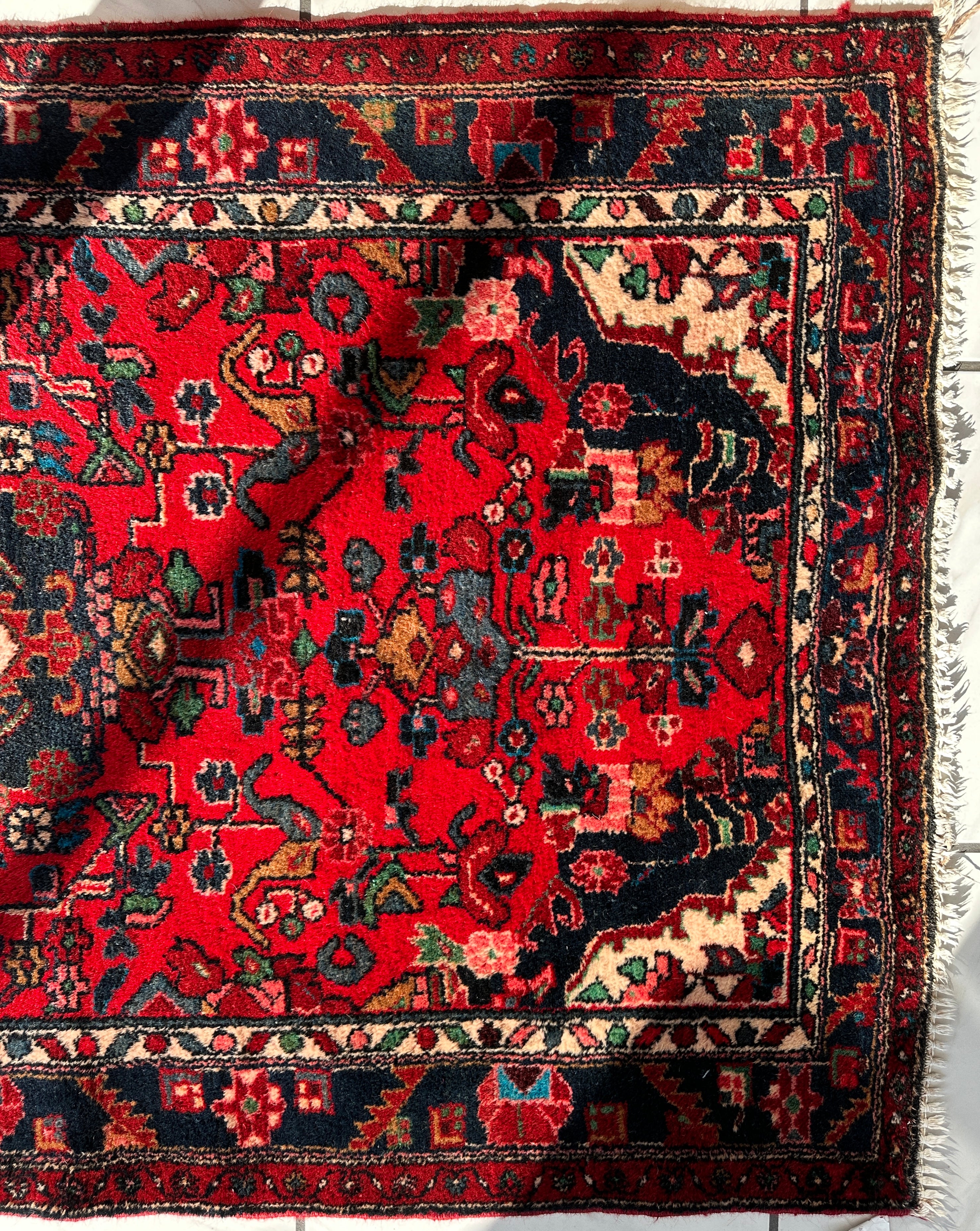 Hand-knotted Persian Hamadan wool Rug 3’8” x 6’4”