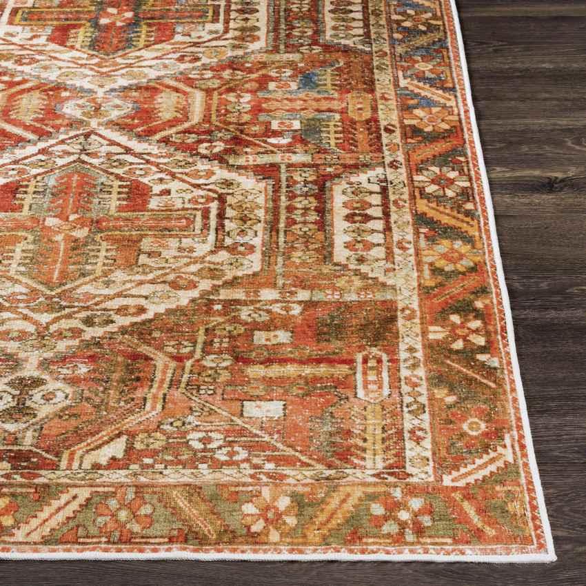 St David Global Burnt Orange Washable Area Rug