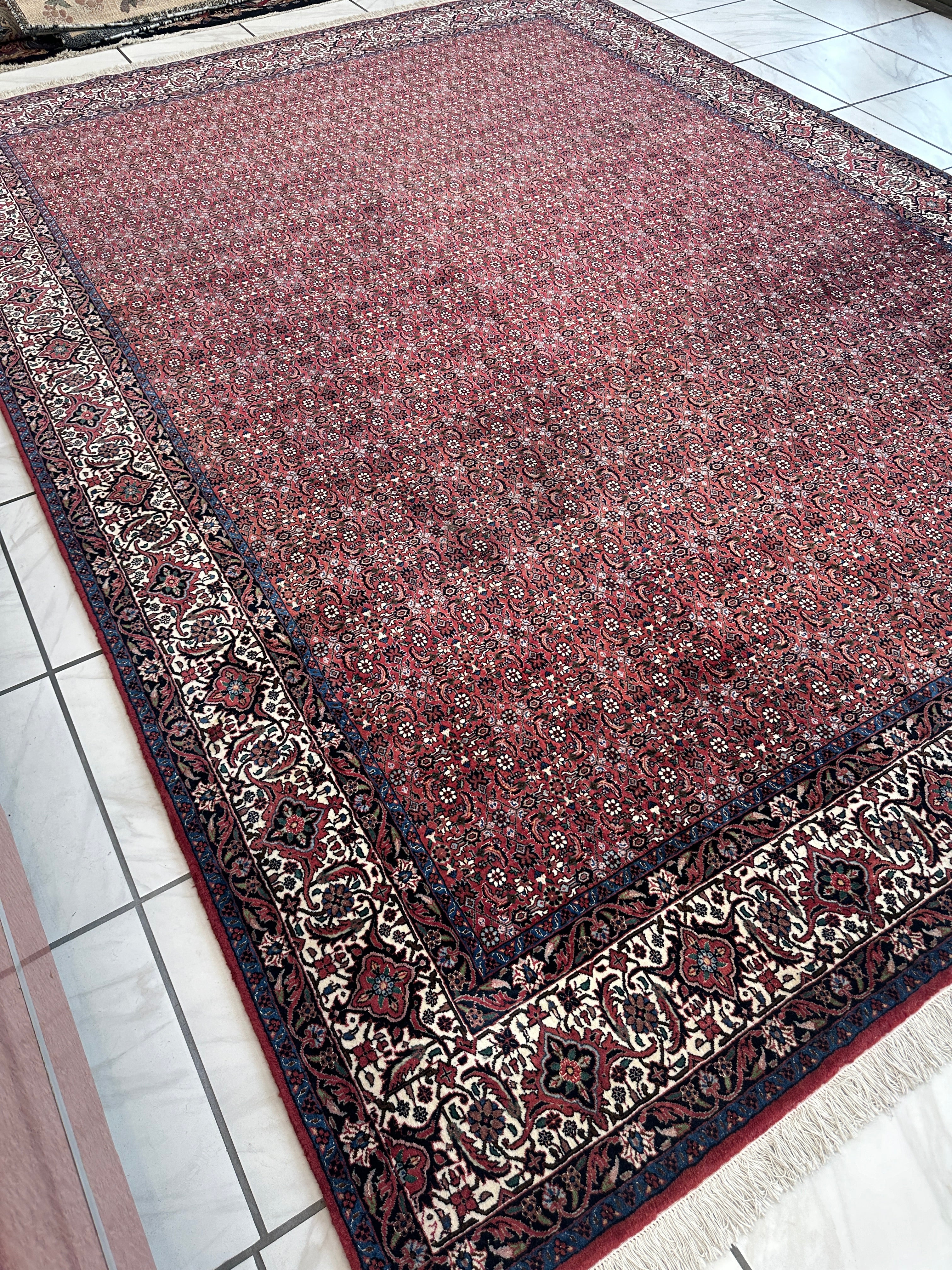 Prrsian Bidjar Herati Allover Area Rug 8’4” x 11’8”