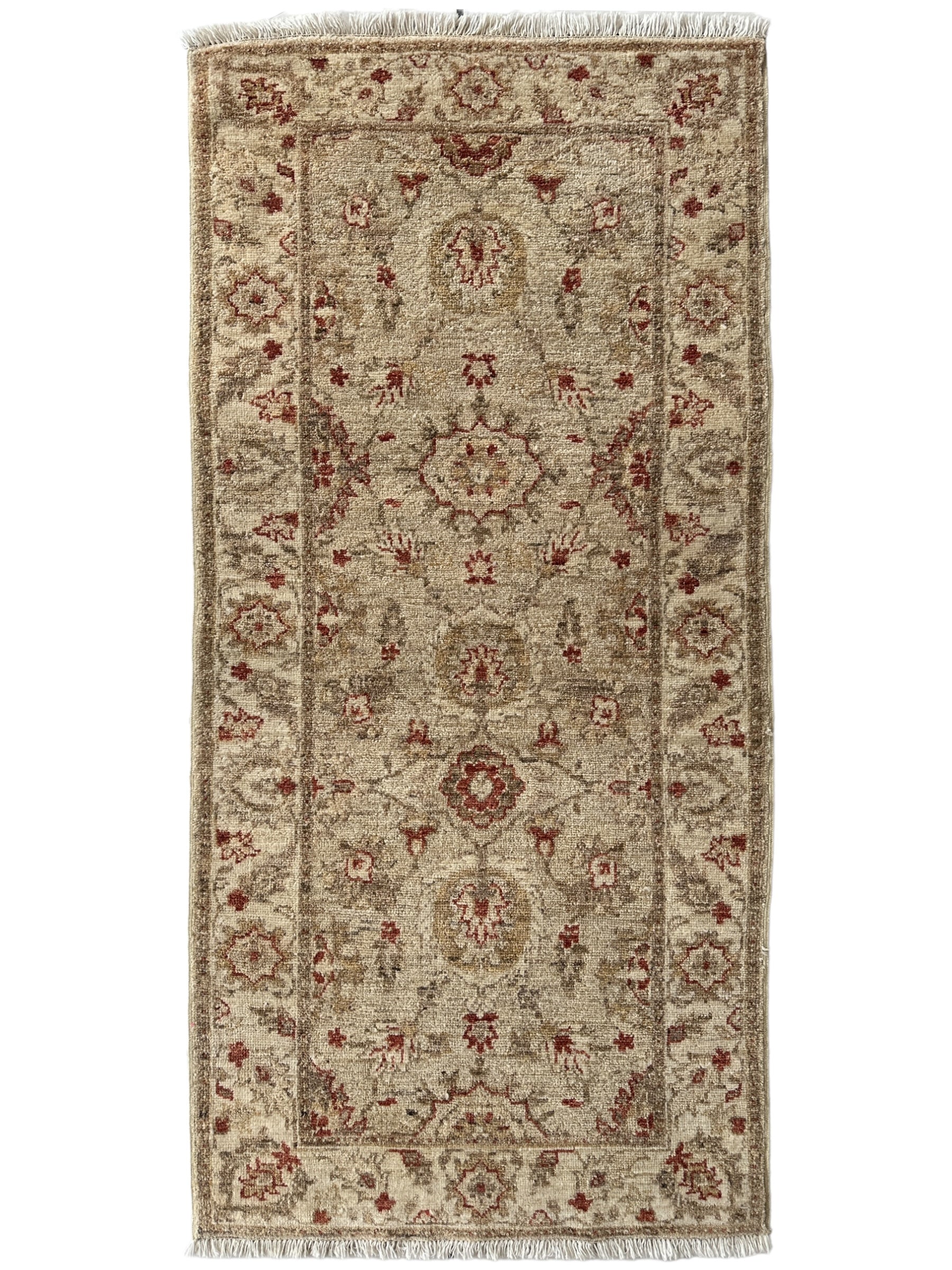 Hand-knotted Wool Small Runner Rug 2’6” x 5’4”