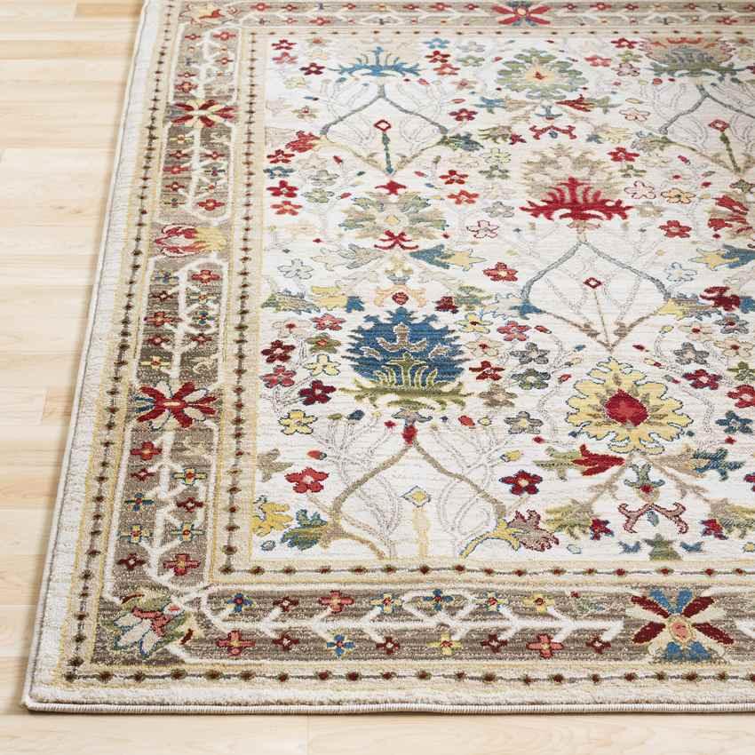 Aaden Traditional Cream Area Rug