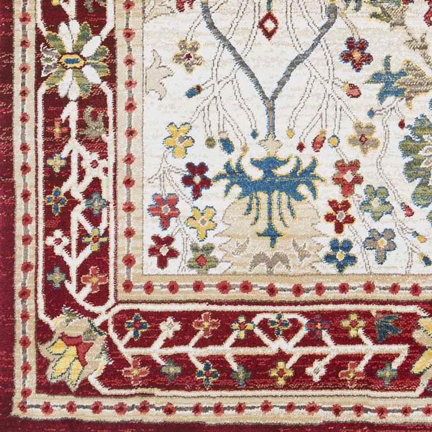 Aaden Traditional Cream Red Area Rug