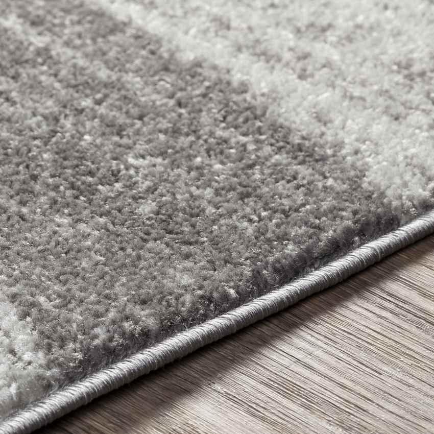 Aalburg Modern Medium Gray Area Rug