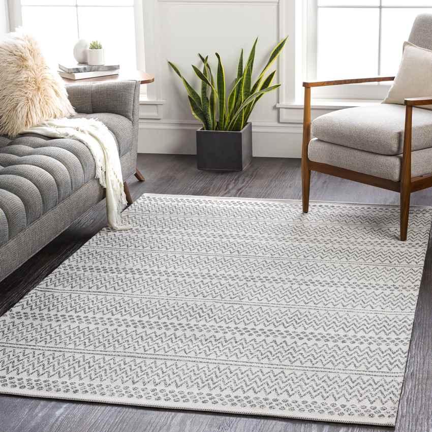 Aarau Global Silver Gray Area Rug