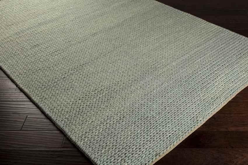 Aaron Modern Dove Gray Area Rug