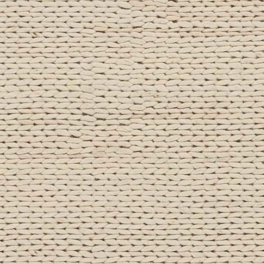 Aaron Modern Ivory Area Rug