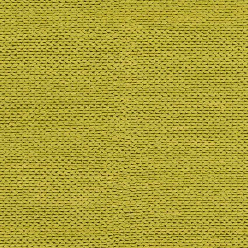 Aaron Modern Lime Area Rug