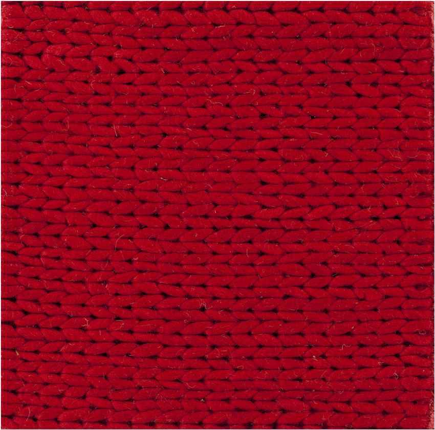 Aaron Modern Venetian Red Area Rug