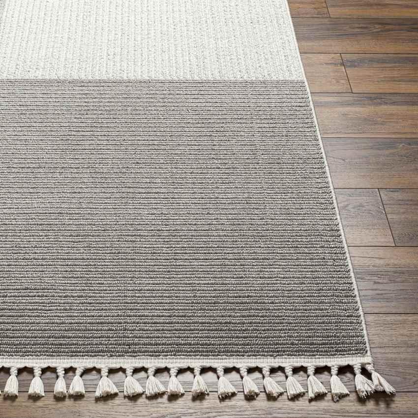 Abena Modern Ivory/Dark Brown Area Rug