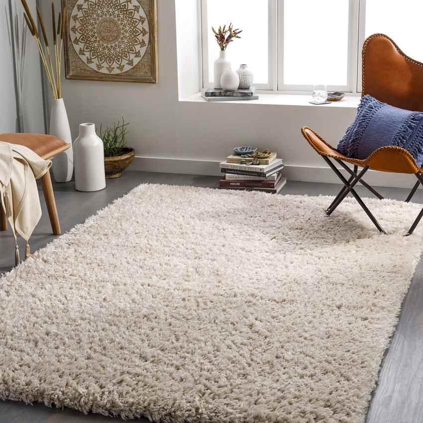 Abraham Modern Beige Area Rug