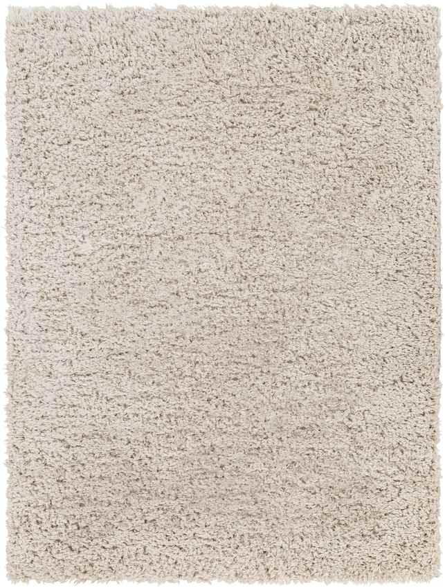 Abraham Modern Beige Area Rug