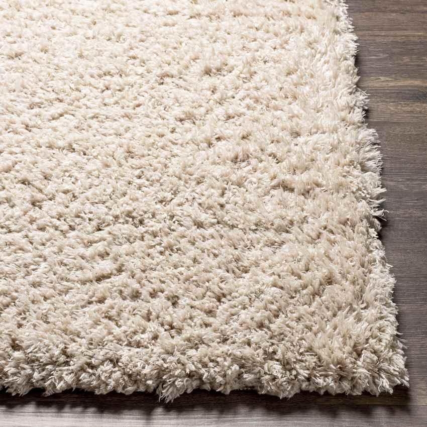 Abraham Modern Beige Area Rug