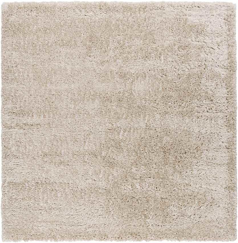 Abraham Modern Beige Area Rug