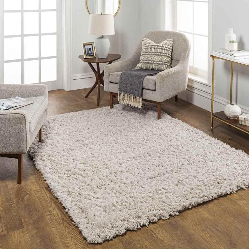 Abraham Modern Beige Area Rug