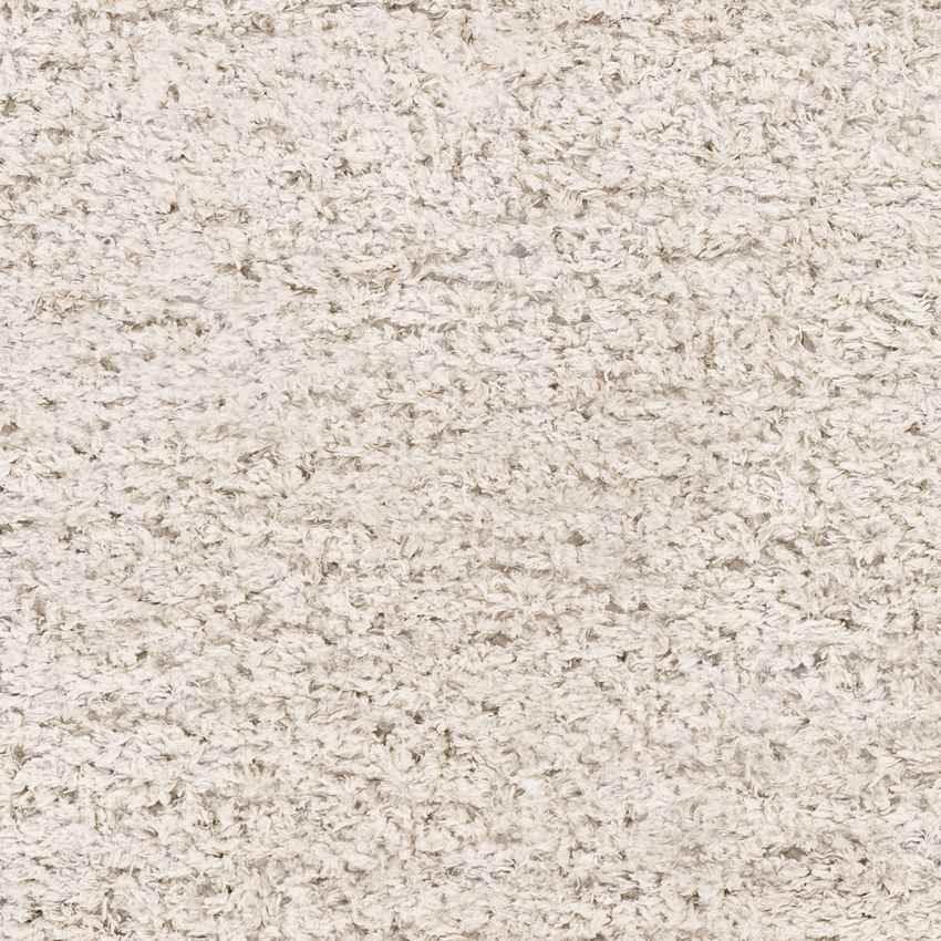 Abraham Modern Beige Area Rug