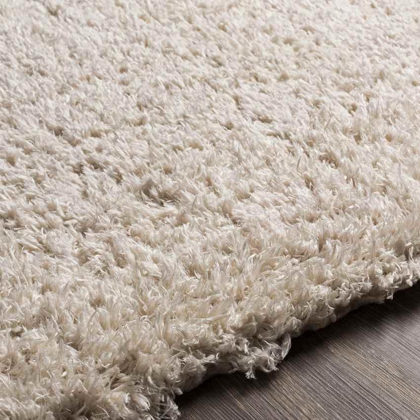 Abraham Modern Beige Area Rug