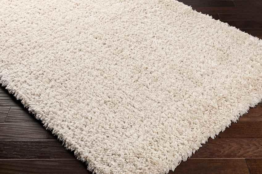 Abraham Modern Beige Area Rug