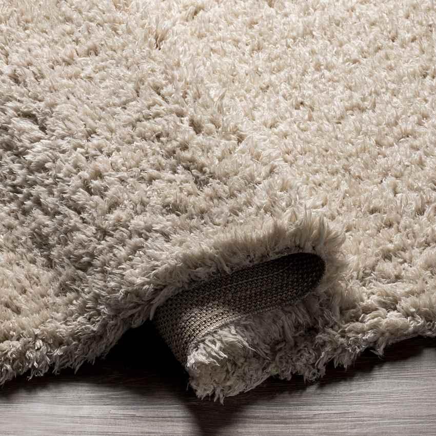 Abraham Modern Beige Area Rug