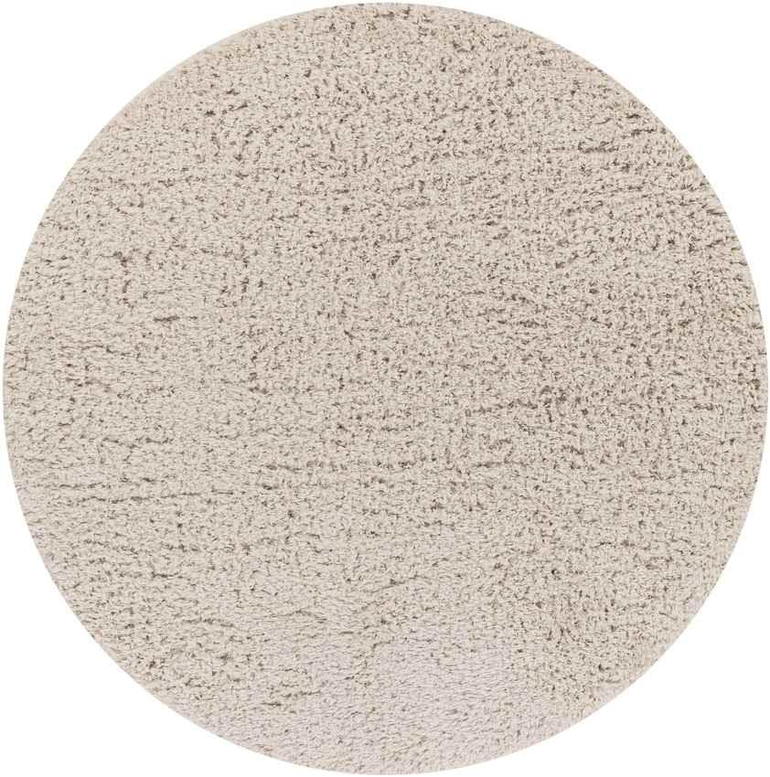 Abraham Modern Beige Area Rug