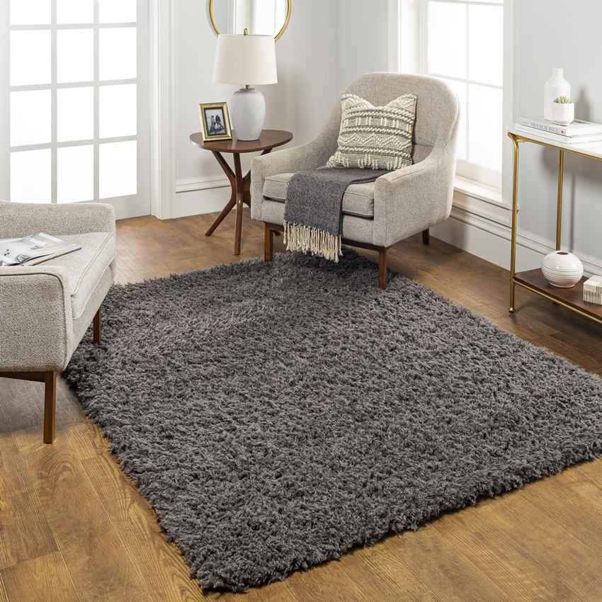 Abraham Modern Charcoal Area Rug