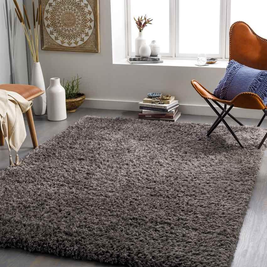 Abraham Modern Charcoal Area Rug