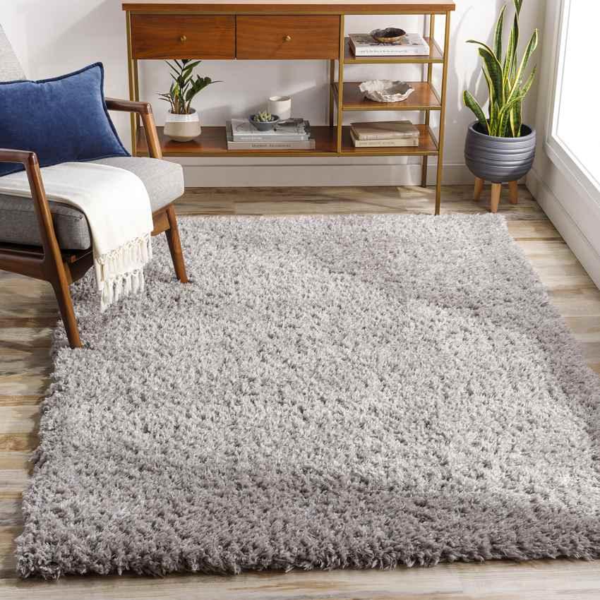 Abraham Modern Gray Area Rug