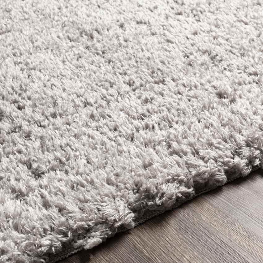 Abraham Modern Gray Area Rug