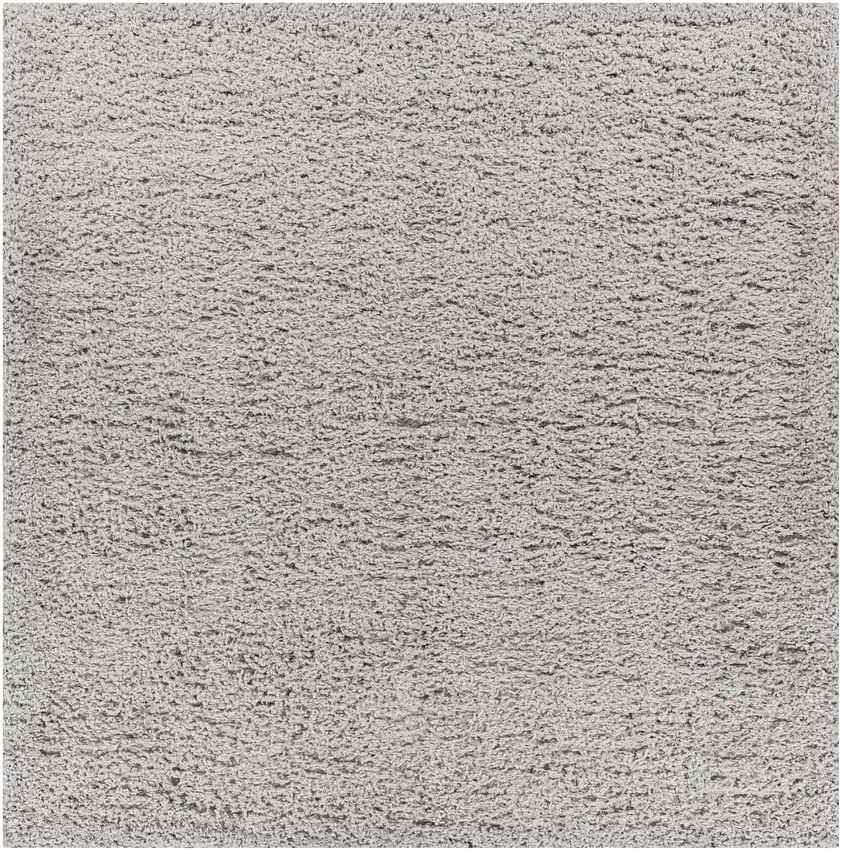 Abraham Modern Gray Area Rug