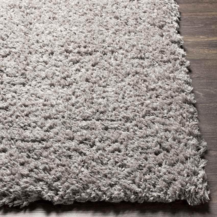 Abraham Modern Gray Area Rug