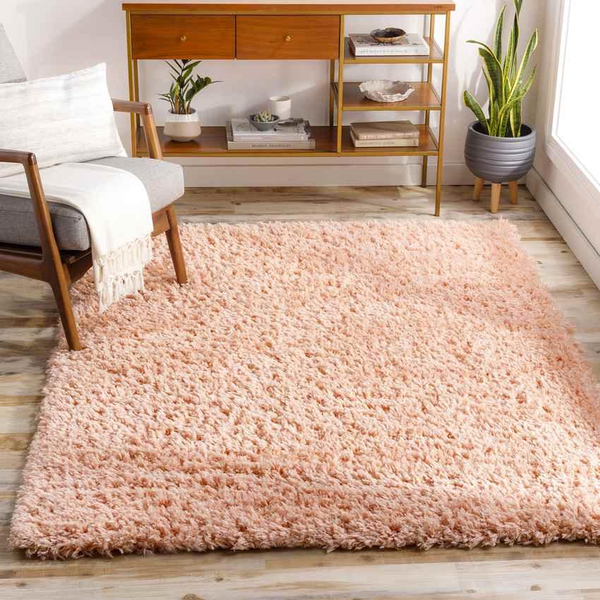 Abraham Modern Peach Area Rug