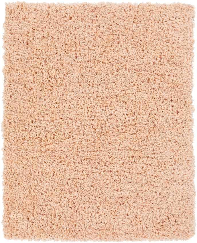 Abraham Modern Peach Area Rug