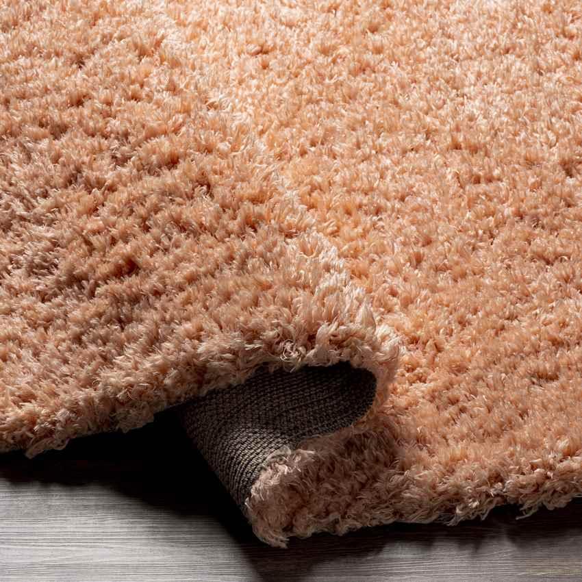 Abraham Modern Peach Area Rug