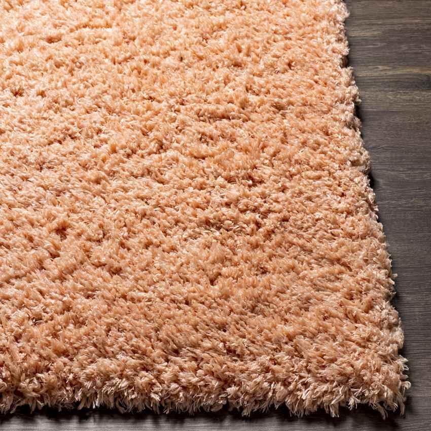 Abraham Modern Peach Area Rug