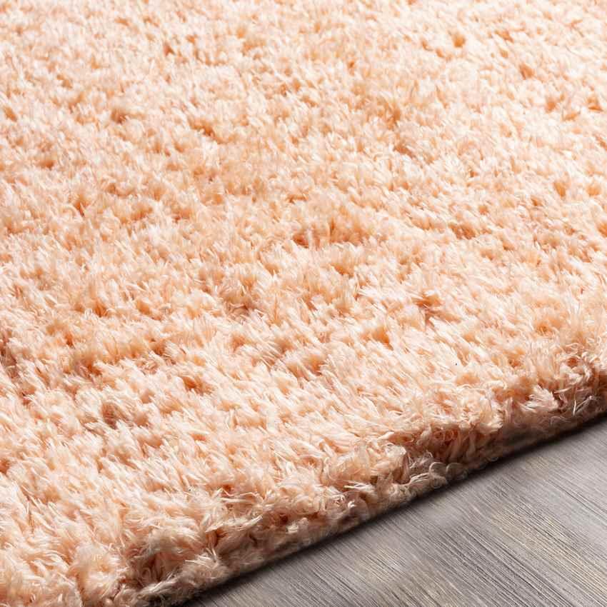 Abraham Modern Peach Area Rug