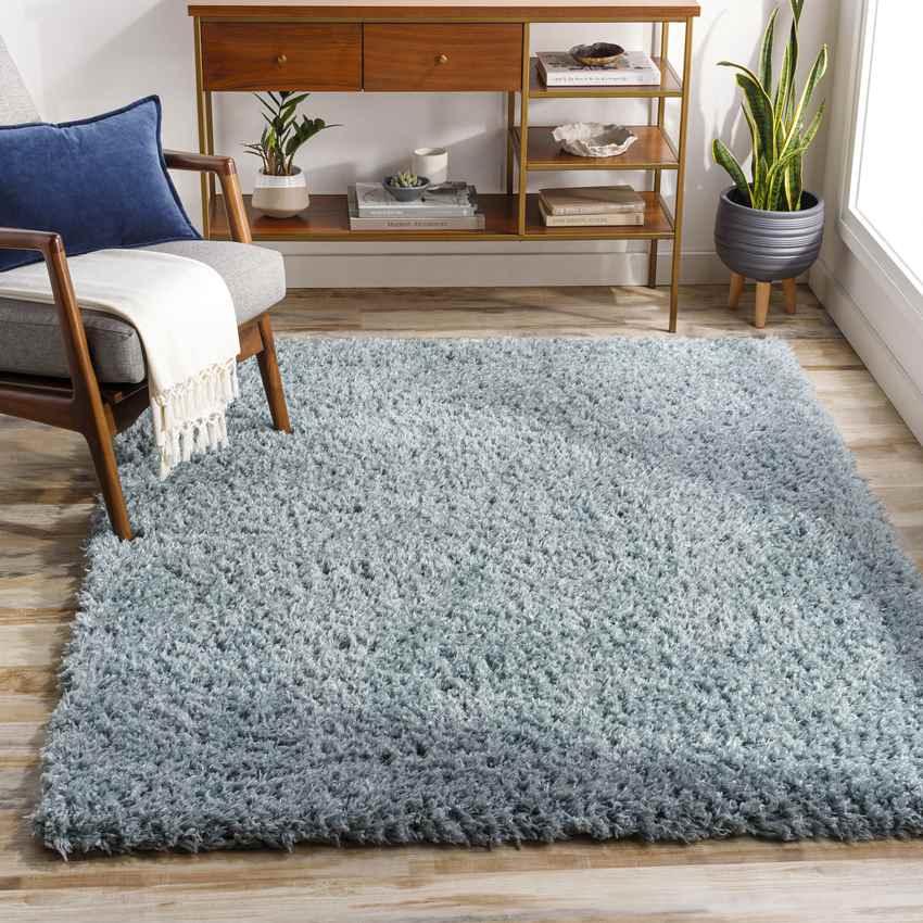 Abraham Modern Teal Area Rug