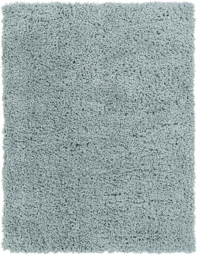 Abraham Modern Teal Area Rug