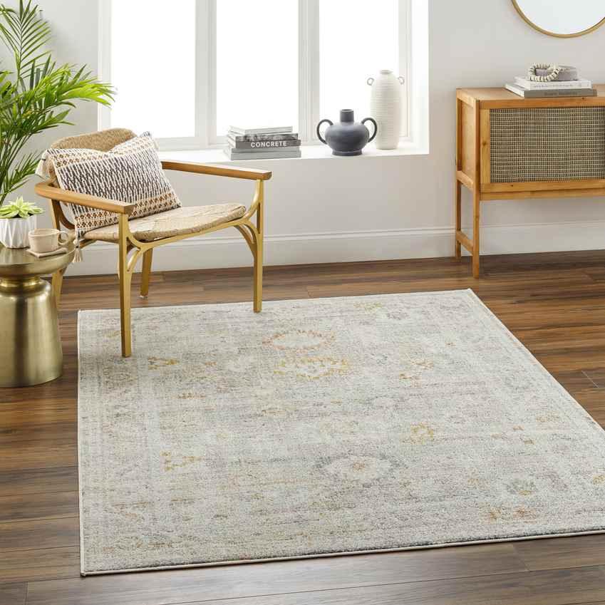 Absalon Traditional Burnt Orange/Light Beige Area Rug