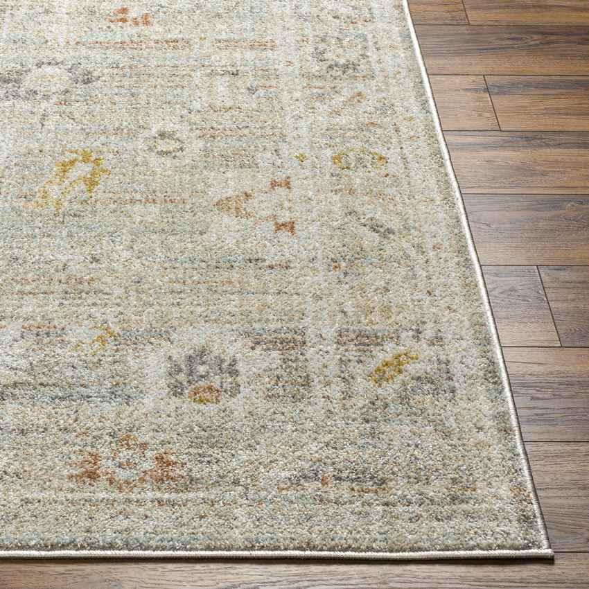 Absalon Traditional Burnt Orange/Light Beige Area Rug