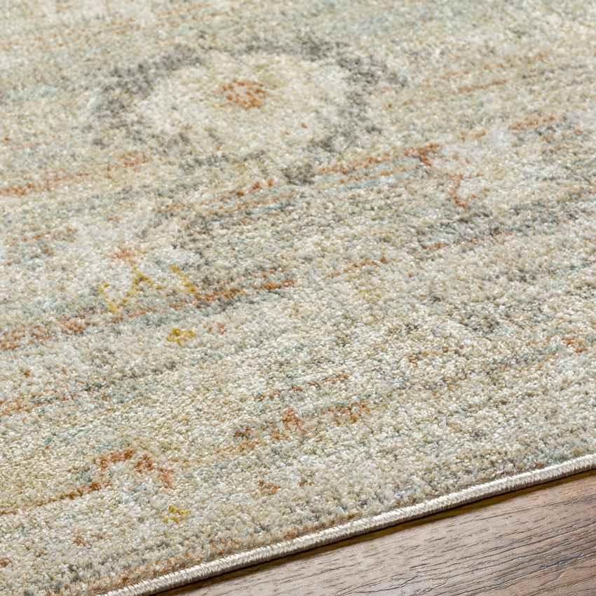 Absalon Traditional Burnt Orange/Light Beige Area Rug