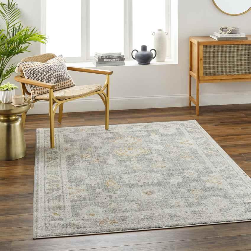 Absalon Traditional Light Beige/Medium Gray Area Rug