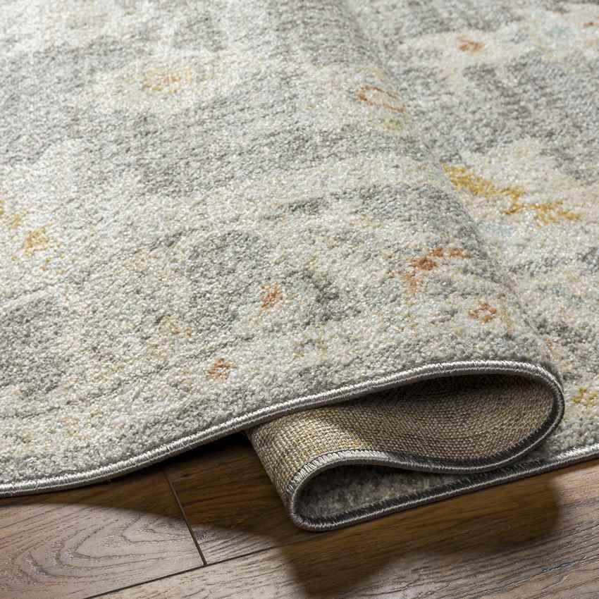 Absalon Traditional Light Beige/Medium Gray Area Rug