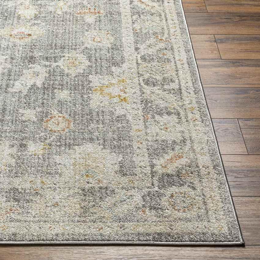 Absalon Traditional Light Beige/Medium Gray Area Rug