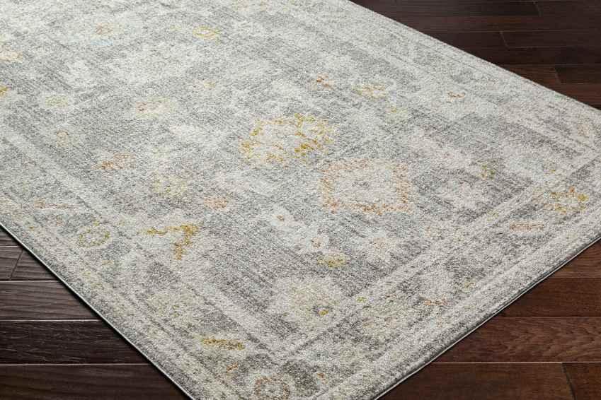 Absalon Traditional Light Beige/Medium Gray Area Rug