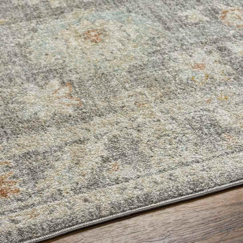 Absalon Traditional Light Beige/Medium Gray Area Rug