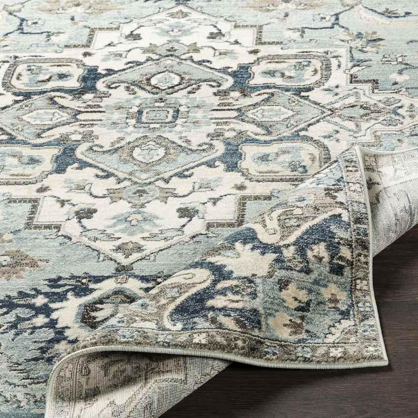 Acerra Traditional Navy Area Rug