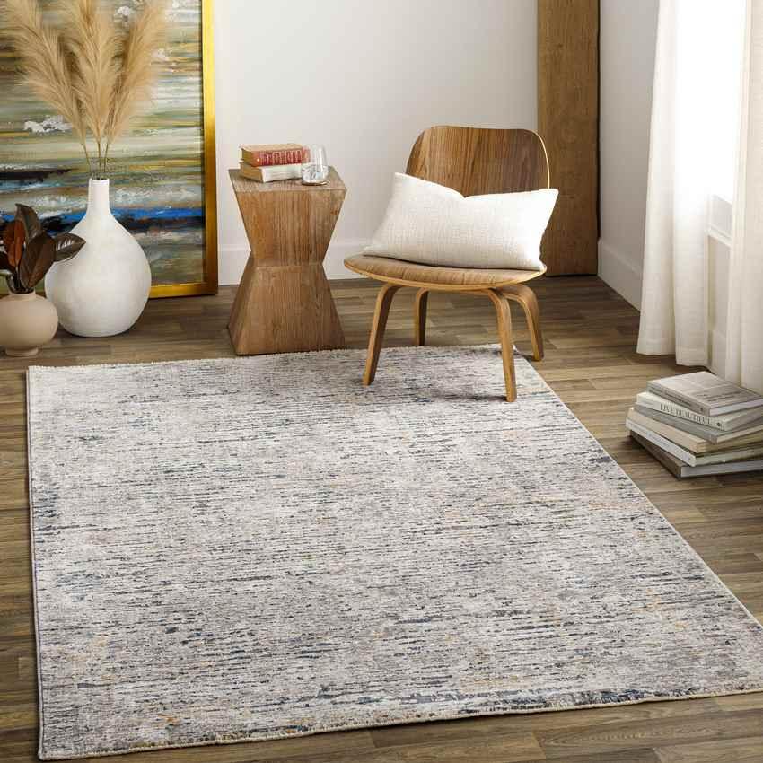 Achtmaal Modern Light Gray Area Rug