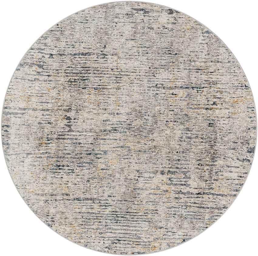 Achtmaal Modern Light Gray Area Rug