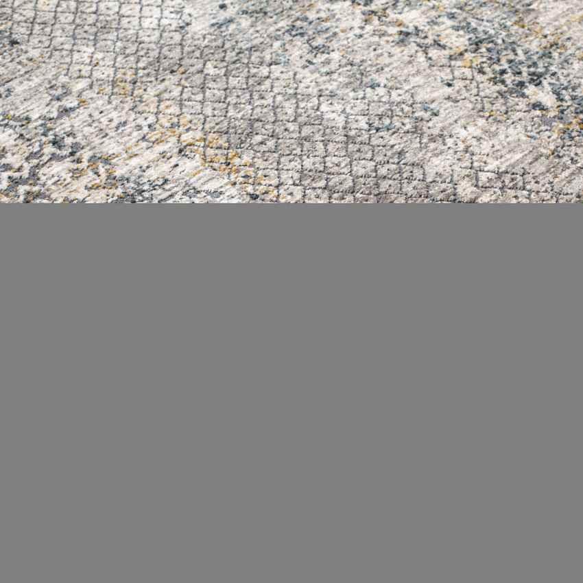 Achtmaal Modern Light Gray Area Rug