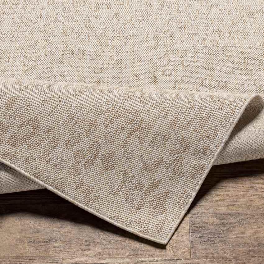 Ackley Modern Beige Area Rug