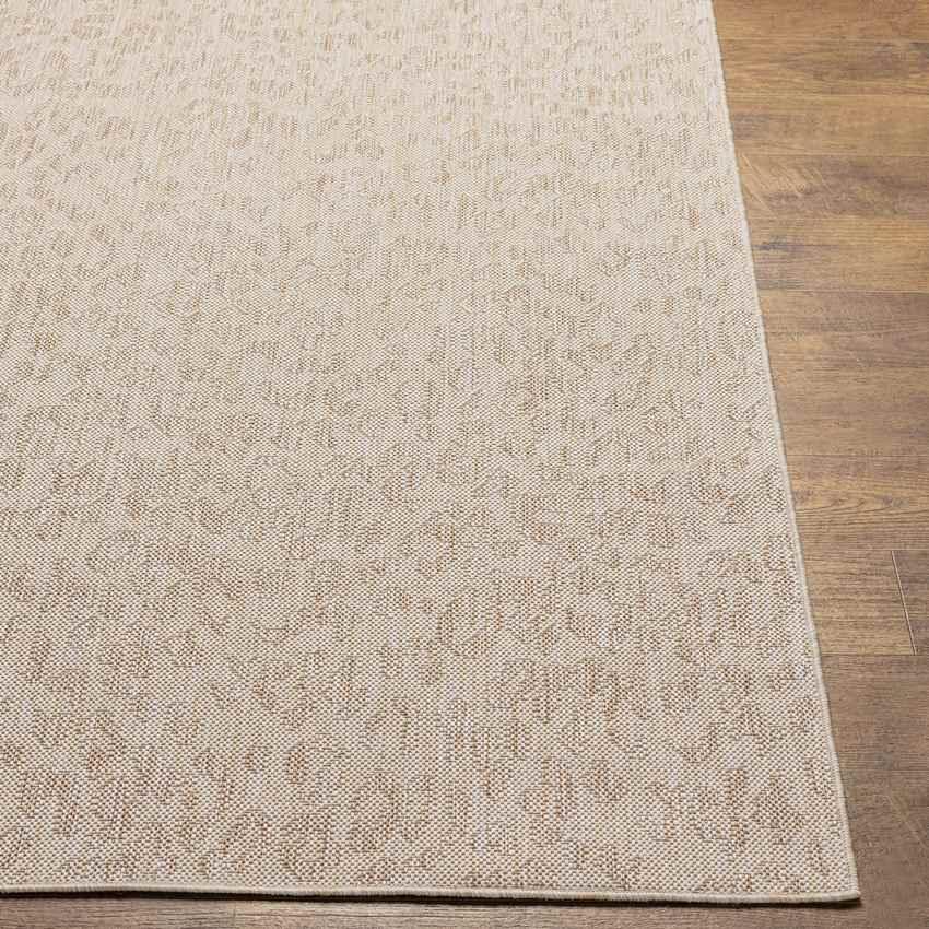 Ackley Modern Beige Area Rug